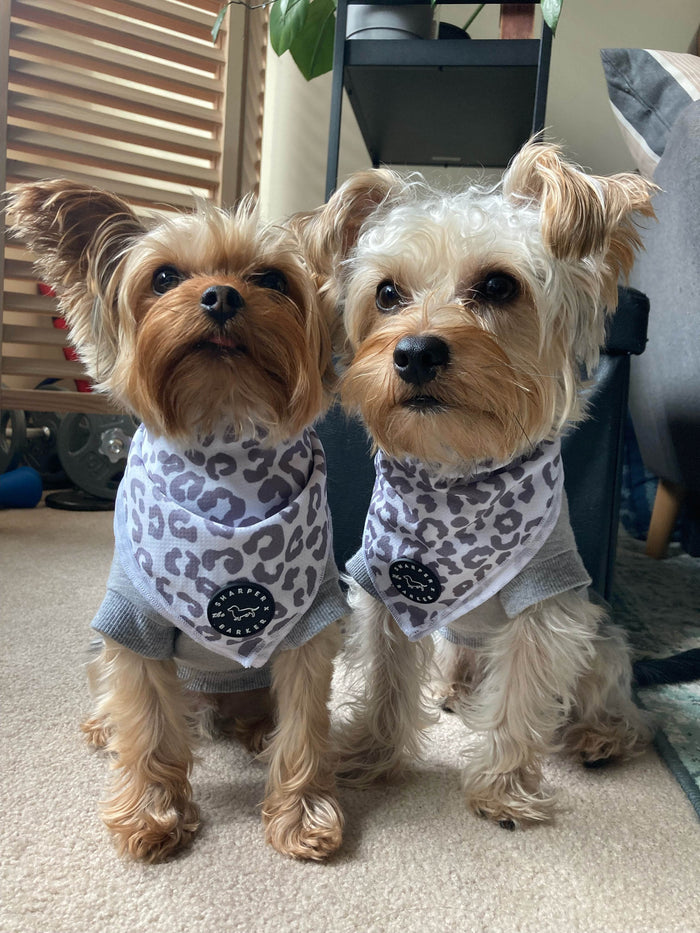 Bandana - Snow Leopard - Sharper Barker