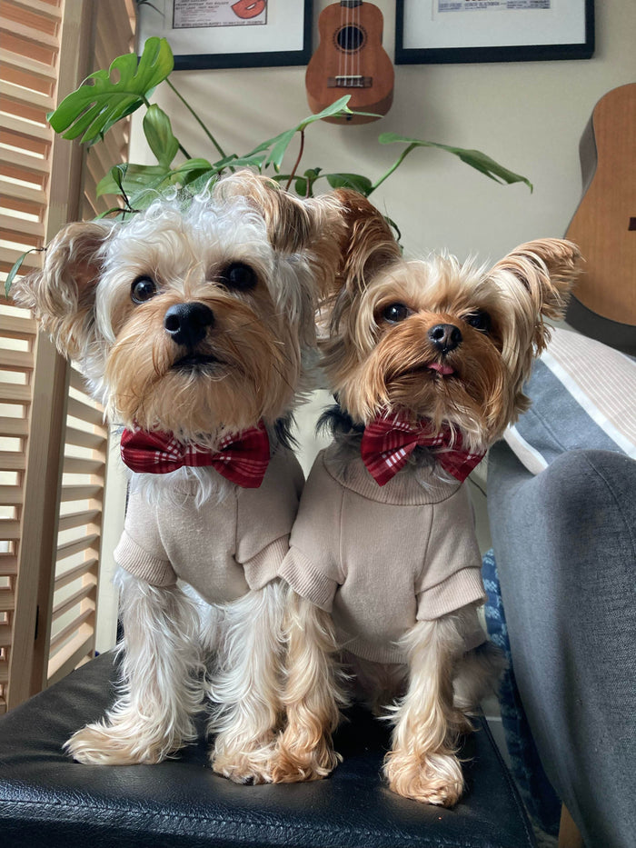 Bowtie - Farmhouse Plaid - Sharper Barker