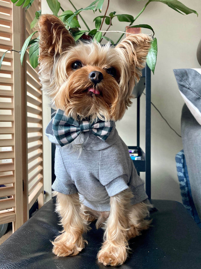 Bowtie - Buffalo Cream - Sharper Barker