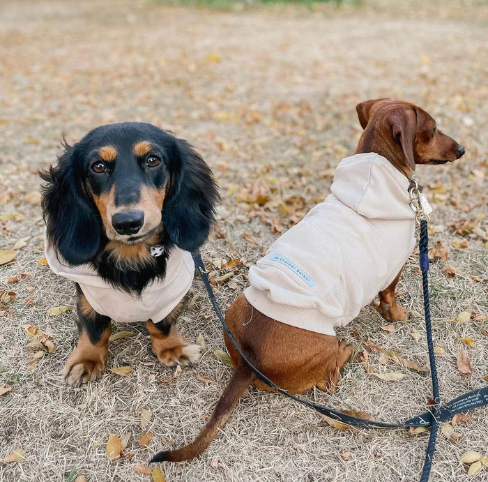 Biscuit Hoodie - Sharper Barker