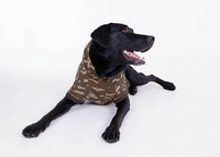 clothes for big dogs, large dog sizes, green camo dog hoodies, black lab hoodie