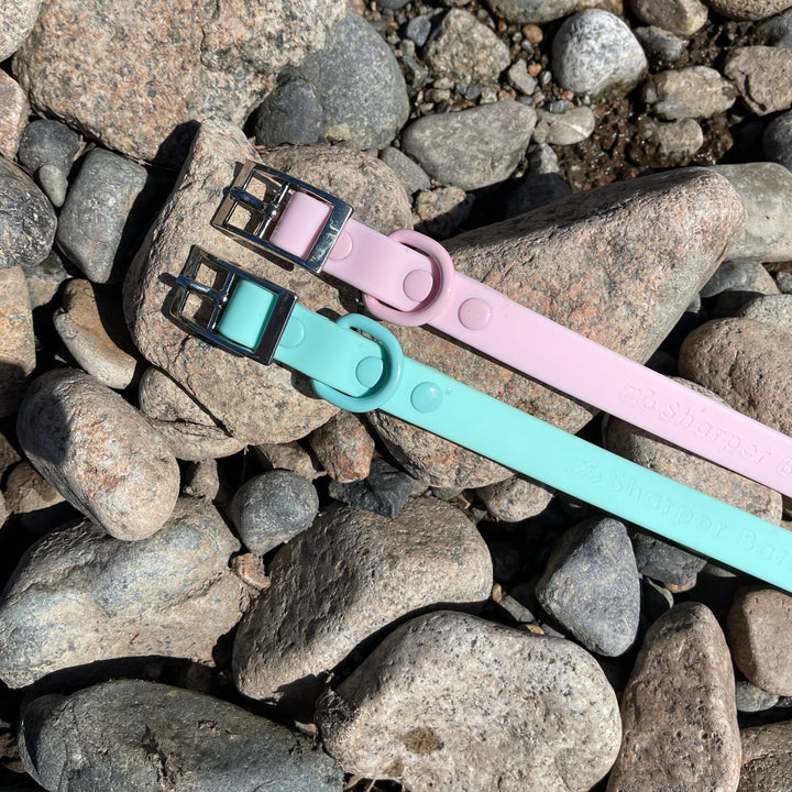 Waterproof Dog Collar - Turquoise