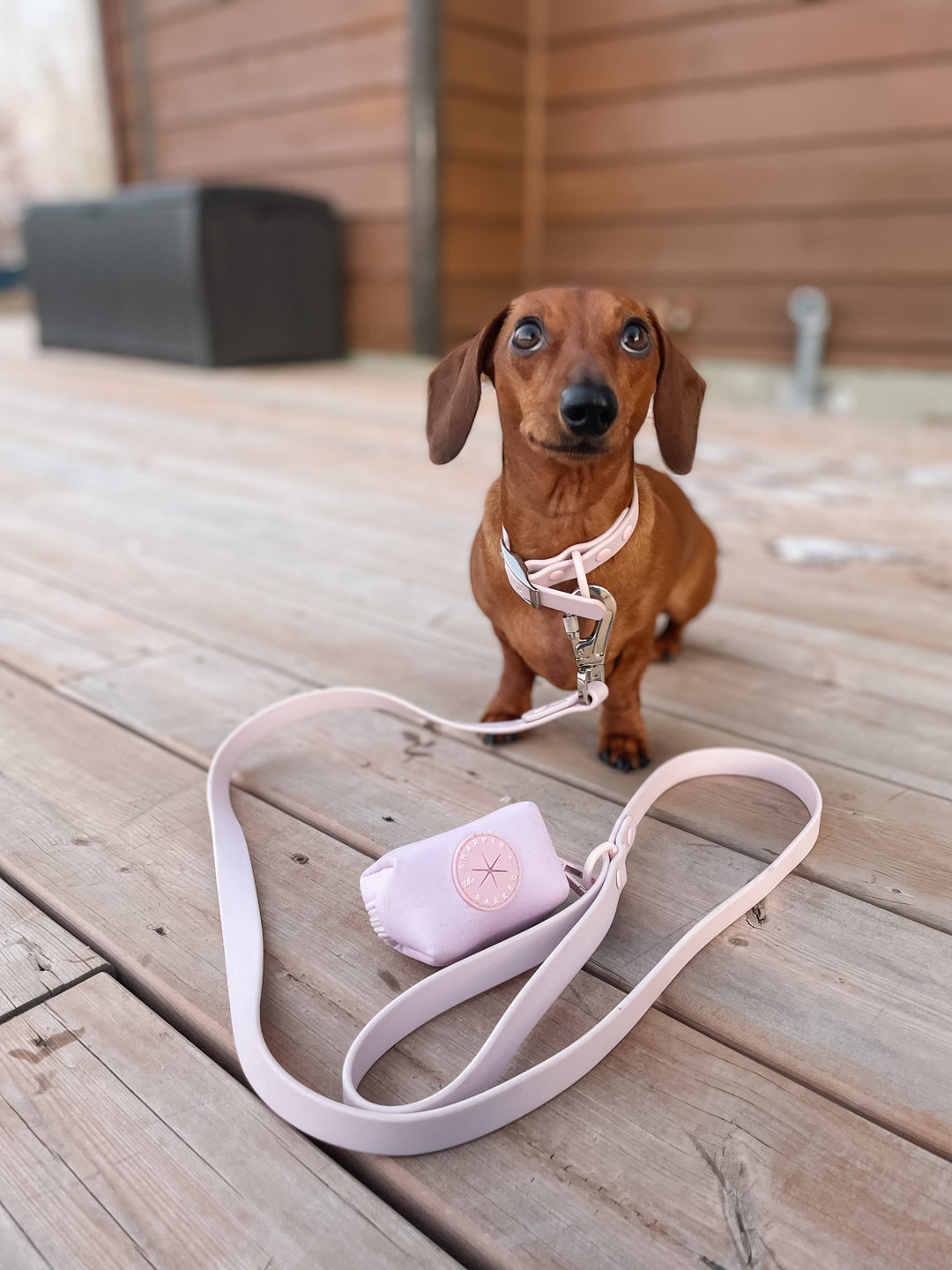 Waterproof Dog Leash - Baby Lilac