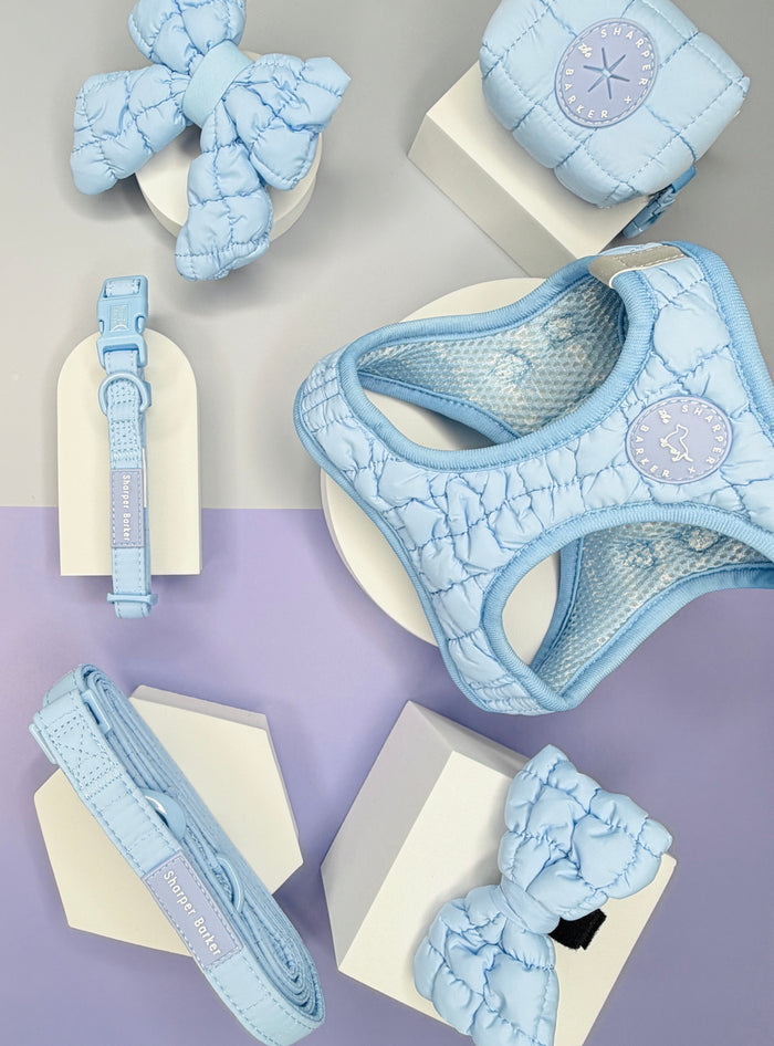 The Ultimate Quilted Dog Walking Bundle | 6-Piece Matching Set