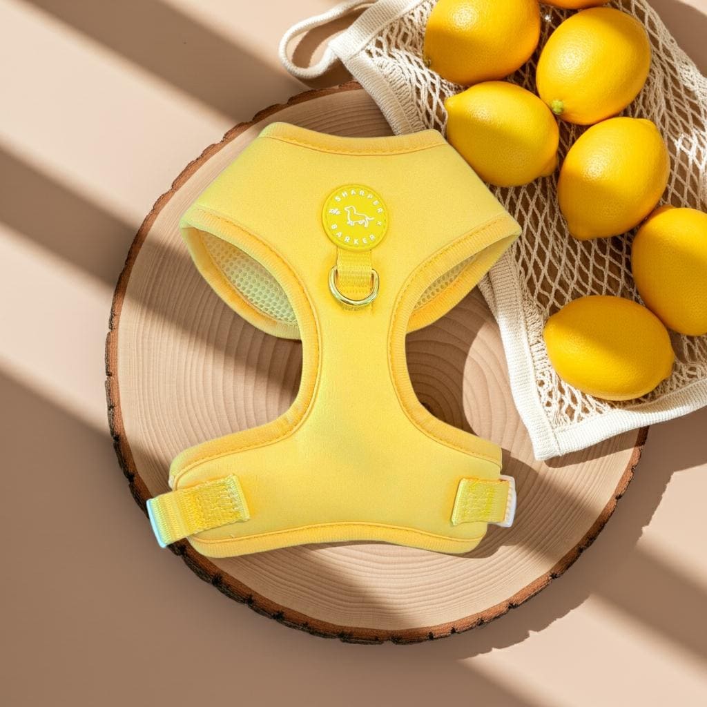 Adjustable Dog Harness Yellow