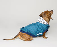 Cozy Water Repellent Dog Jacket - Midnight